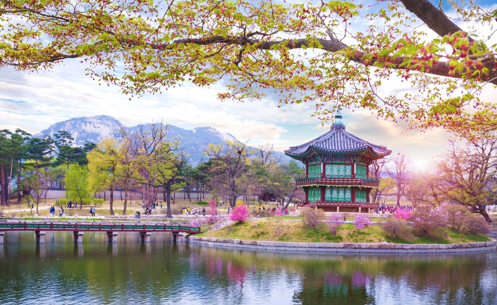 Amazing South Korea tour