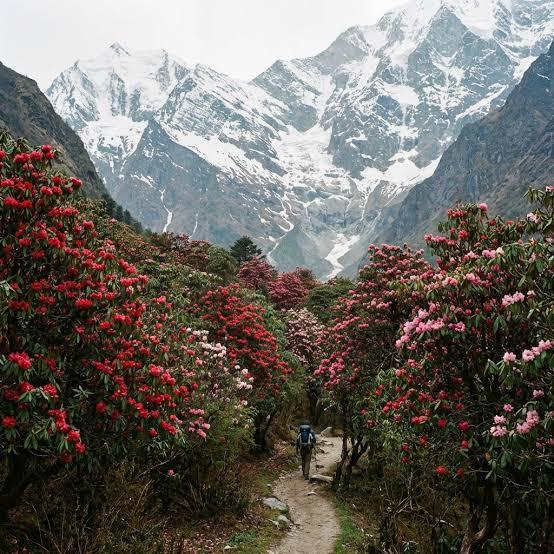10D9N ­ Langtang Valley Trek tour